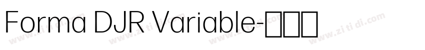 Forma DJR Variable字体转换